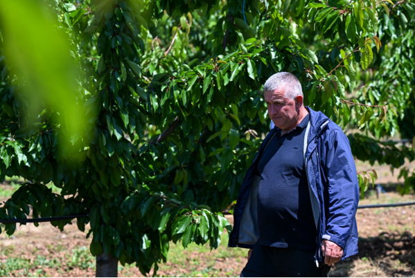 Në foto, Fali Methasani, fermer